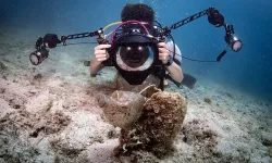 İzmirli Doğa 430 bin fotoğraf arasından ilk 9’da
