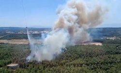 İzmir Buca’da orman yangını çıktı