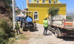 Aydın Büyükşehir’den Karpuzlu’daki yeşil alanlarda bakım ve düzenleme çalışması