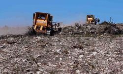 Aliağa ve Foça’daki yanan orman alanlarında ağaçlandırma çalışmaları sürüyor