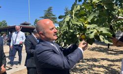 Aydın’a 100 milyonluk yatırım