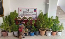 İzmir’de uyuşturucu operasyonu: 3 tutuklama