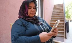 Denizli’de sokak hayvanlarının zehirlenerek öldürüldüğü iddiası