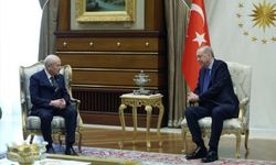 Cumhurbaşkanı Erdoğan, Devlet Bahçeli ile görüştü