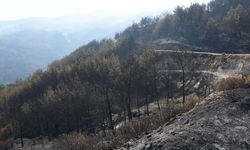 Bakan Yumaklı açıkladı: Aydın'daki yangın kontrol altında!