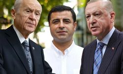 Bahçeli çağrı yapmıştı: Demirtaş için kritik açıklama