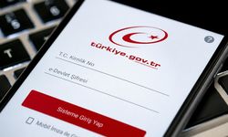e-Devlet'ten bir hizmet daha! Milyonlar akın ediyor