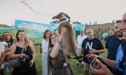 Dalyan’a yeni yaşam alanı