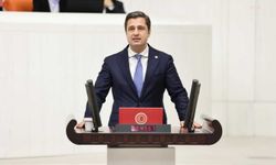 Deniz Yücel’den TBMM’de çocuk cinayetleri tepkisi