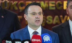 Akın Gürlek duyurdu: Orman yangınlarında 9 tutuklama