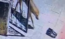 Müezzinin kayıp ayakkabılarının sırrı kamerada ortaya çıktı