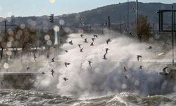 İzmir’de fırtına alarmı: İlçeler tek tek açıklandı