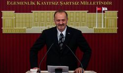 Osmanağaoğlu’ndan Türk Ocakları’na sert eleştiri