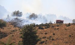 Manisa'da orman yangını: Alevlere müdahale sürüyor