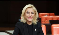 Gappi tartışmasına AK Partili Bursalı da dahil oldu