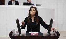 Sevda Erdan Kılıç: Bu ağır bir sosyal yıkımdır