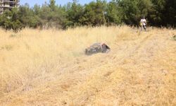 Karabağlar’dan yabani ot temizliğinde teknolojik hamle