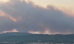 Muğla’da orman yangını Ula’ya sıçradı