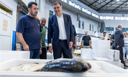 Başkan Tugay: Ekmeğini denizden çıkaranlara bereketli bir sezon diliyorum