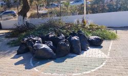 Bodrum’da ot temizliği çalışmaları sürüyor