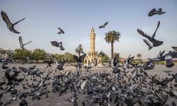 İzmir’in iklim deneyimi Avrupa’ya taşınacak
