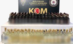 Muğla’da kaçakçılık operasyonlarında 2 milyon liralık vergi kaybı önlendi