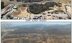 İzmir’de yanan ormanlar yeniden fidanla buluşuyor
