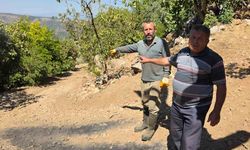 Tire’de bitmeyen yol çilesi: Mahalleli can güvenliğinden endişeli