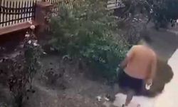 İzmir’de köpeğini gezdiren şahsın yavrulu kediye tekmeli saldırısı kamerada