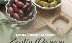 Didim Belediye Başkanı Gençay: "Zeytin üreticilerimiz için yeni bir satış alanı oluşturuyoruz"
