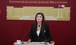 Sevda Erdan Kılıç’tan eğitim bütçesi tepkisi
