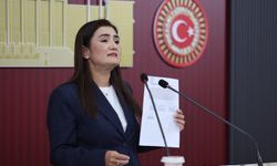 Sevda Erdan Kılıç’tan çete ve uyuşturucu açıklaması