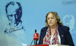 CHP Kadın Kolları’ndan kadın cinayetleri açıklaması