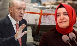 Erdoğan’ın fon krizindeki tavrına ilişkin dikkat çeken yorum
