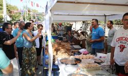 GÖKÇEALAN OSMANCIK ÜZÜM ŞENLİĞİ RENKLİ ETKİNLİKLERLE KUTLANACAK