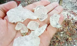 TÜGİAD Ege Şubesi’nden Çeşme Sakızına Destek