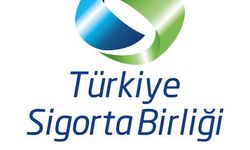Türkiye Sigorta Birliği'nden BES açıklaması