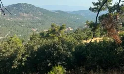 İzmir-Manisa arasına 145 milyon liralık enerji hattı