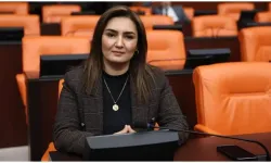 Sevda Erdan Kılıç’tan Yıldız’a dikkat çeken mesaj
