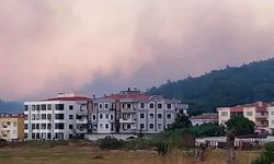 Ayvalık Küçükköy girişindeki yangın söndürüldü