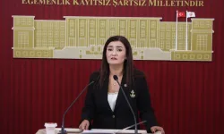 Sevda Erdan Kılıç’tan siyasilerin hesapları incelensin çağrısı