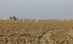 Marmara Gölü havzası için organik üretim planı
