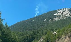 Fethiye’de orman yangını