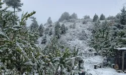 Manisa’nın yaylalarına mevsimin ilk karı düştü