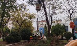 EFELER BELEDİYESİ YAĞIŞLI HAVALARDA