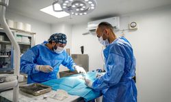 Torbalı’da Can Dostlarına Yapılan Hizmet Büyük Alkış Alıyor