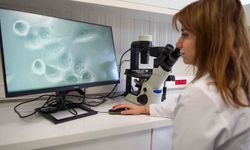 Medical Point’te klinik deneyim mühendislik gücü ile birleşti