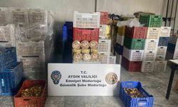 Aydın’da bir haftada 6 operasyon