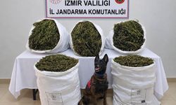 İzmir’de uyuşturucu operasyonu: 54 kilo 800 gram esrar ele geçirildi, 3 kişi tutuklandı