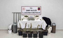 İzmir’de saksıda uyuşturucu yetiştiren şüpheli yakalandı